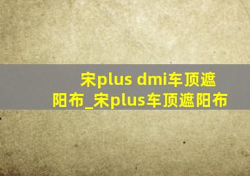 宋plus dmi车顶遮阳布_宋plus车顶遮阳布